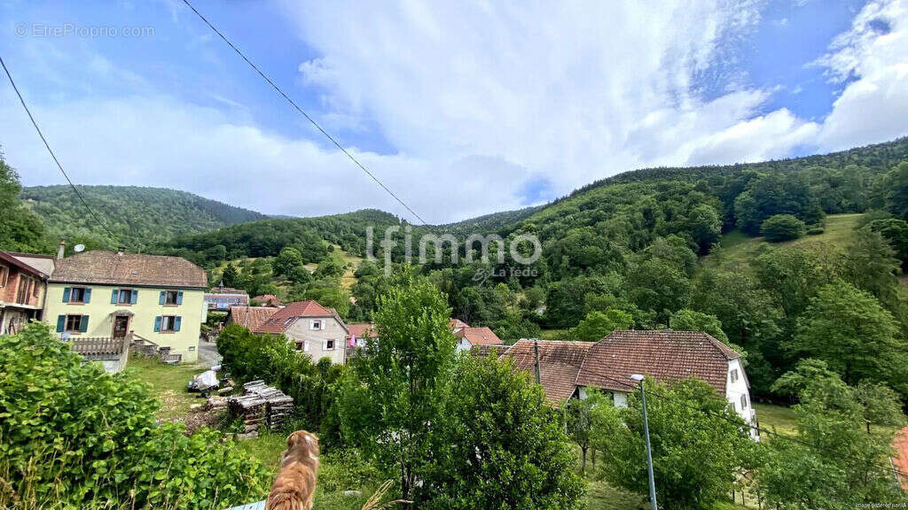 Terrain à bâtir 1510 m² - photo 3