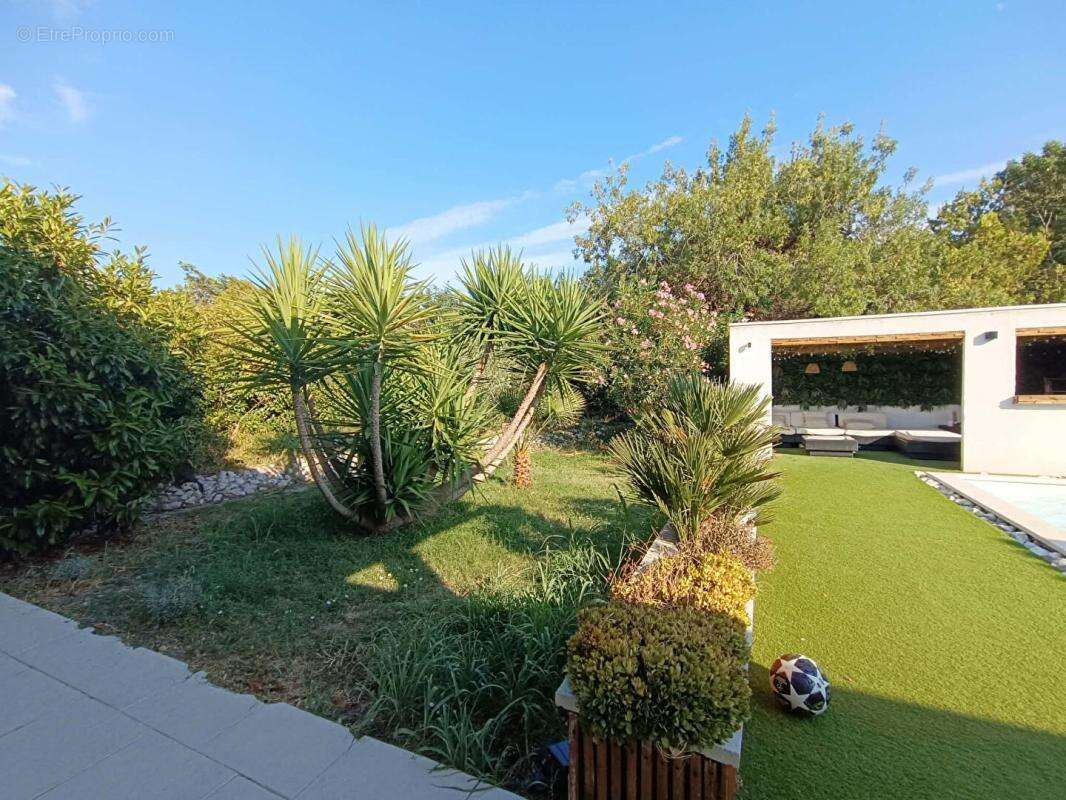 Maison Saint Chamas 5 pièce(s) Avec Piscine et jardin aménagé - photo 6