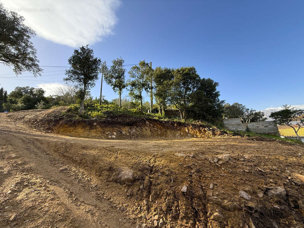 Terrain à SARI-SOLENZARA