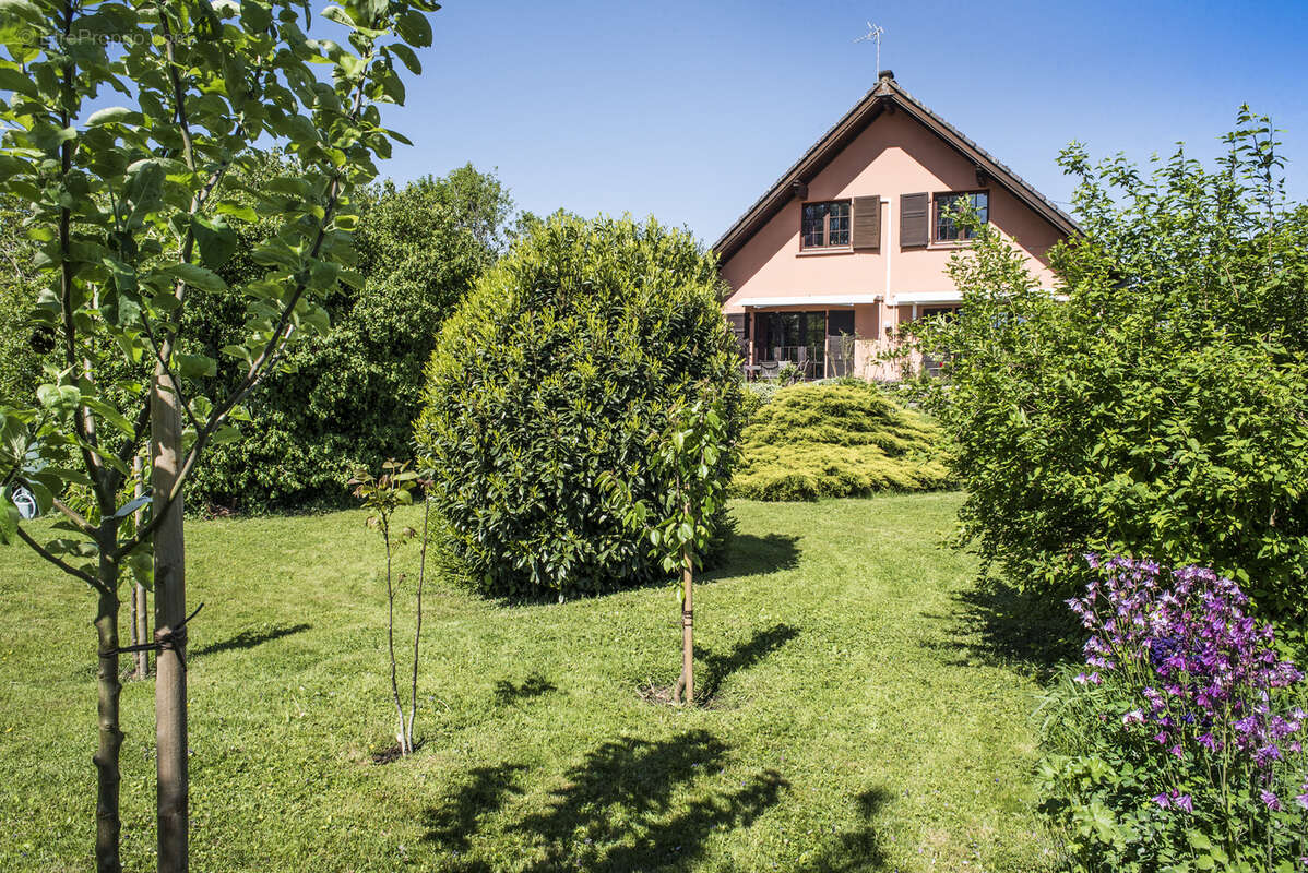 Maison à ROHRWILLER