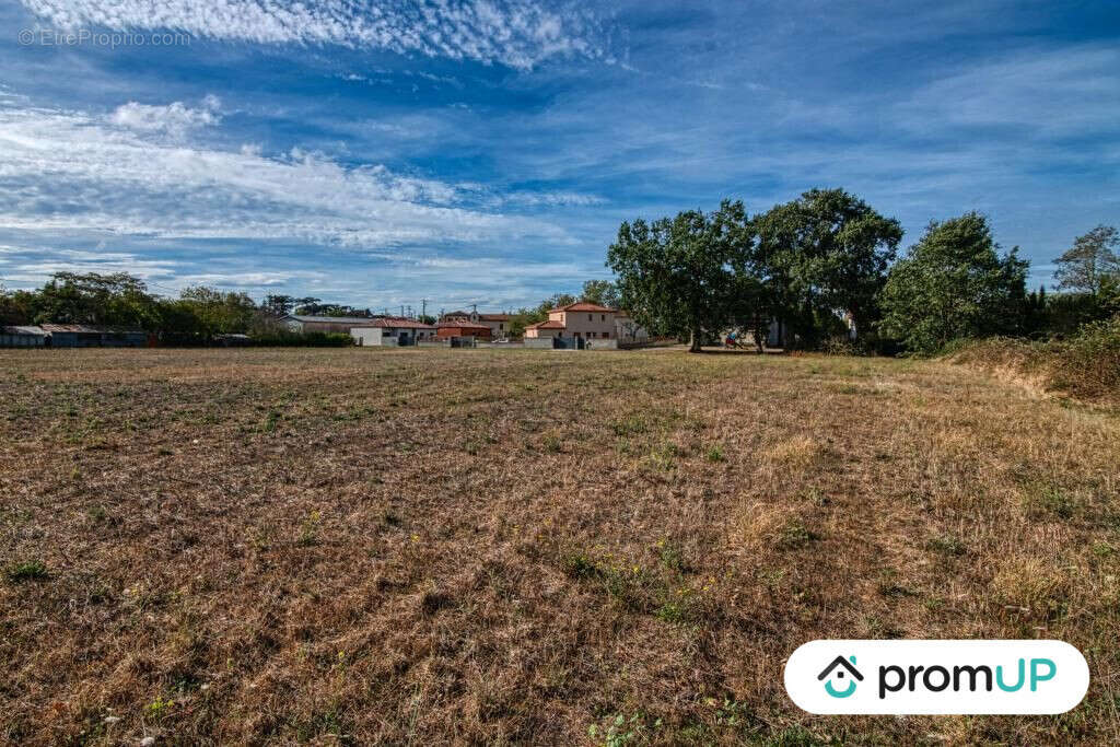 Terrain à CINTEGABELLE
