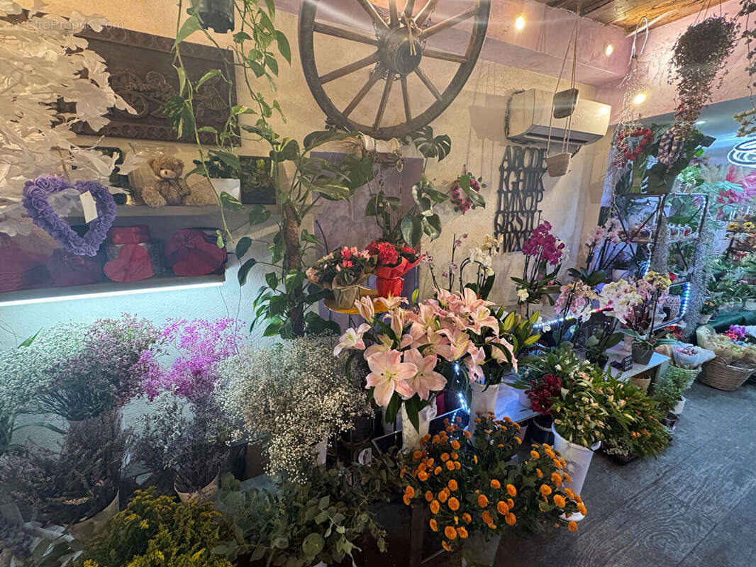 Autre à CAGNES-SUR-MER