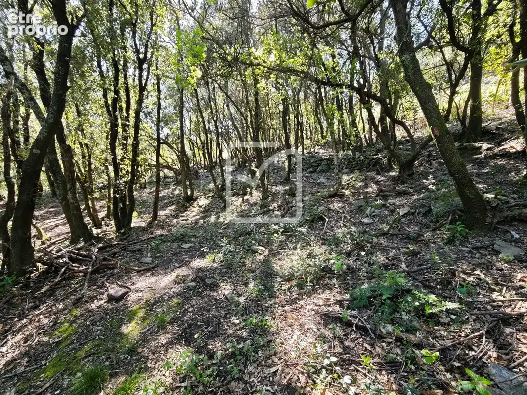 Beau et grand terrain constructible environnement nature! - photo 3
