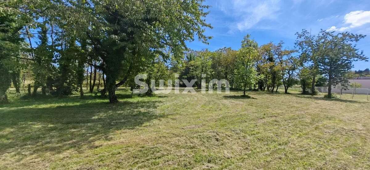 Terrain à CHAMPVANS