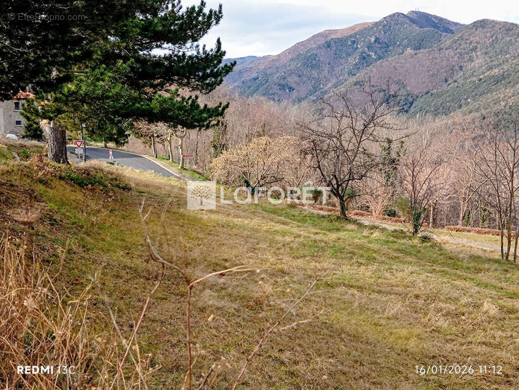 Terrain à SERRALONGUE