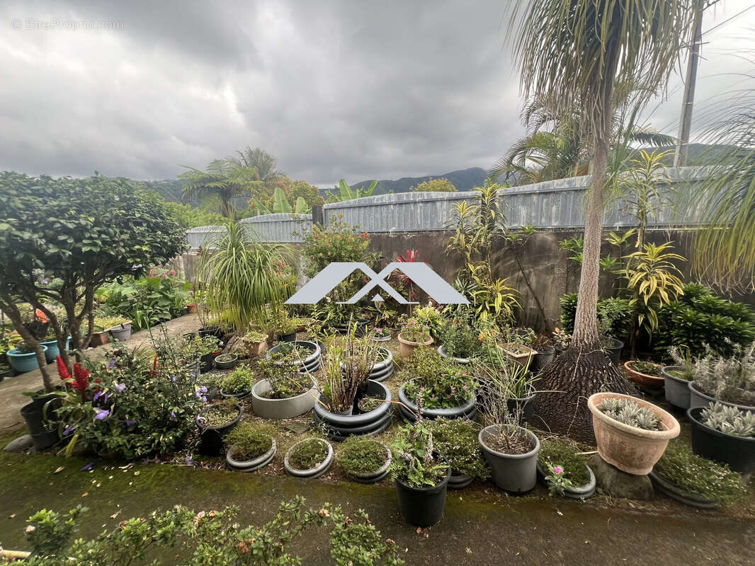 Maison à SAINT-JOSEPH