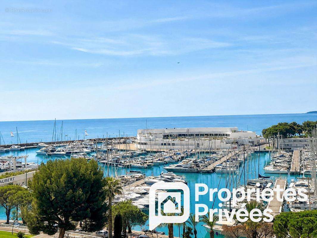 Marina Baie des Anges  Superbe 2 pièces - photo 3