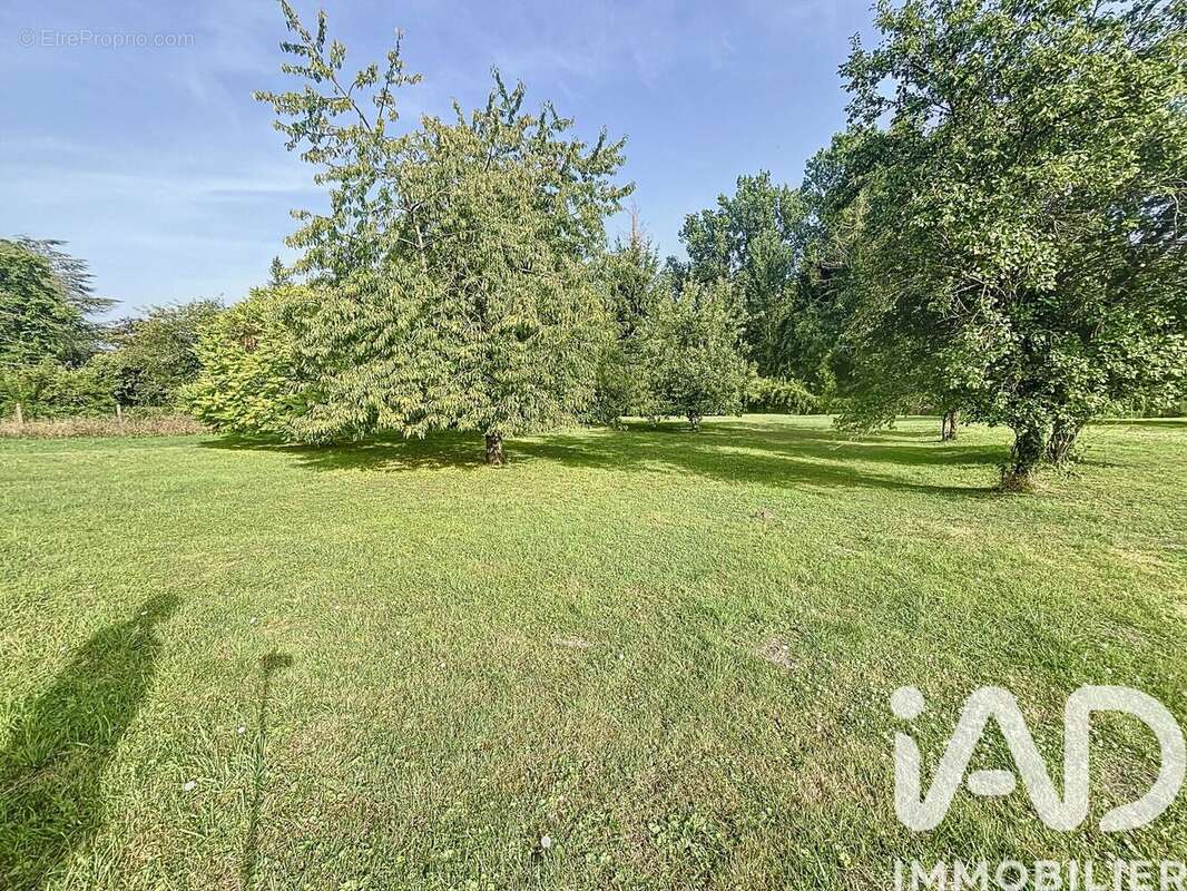 Photo 3 - Terrain à COURTEMPIERRE