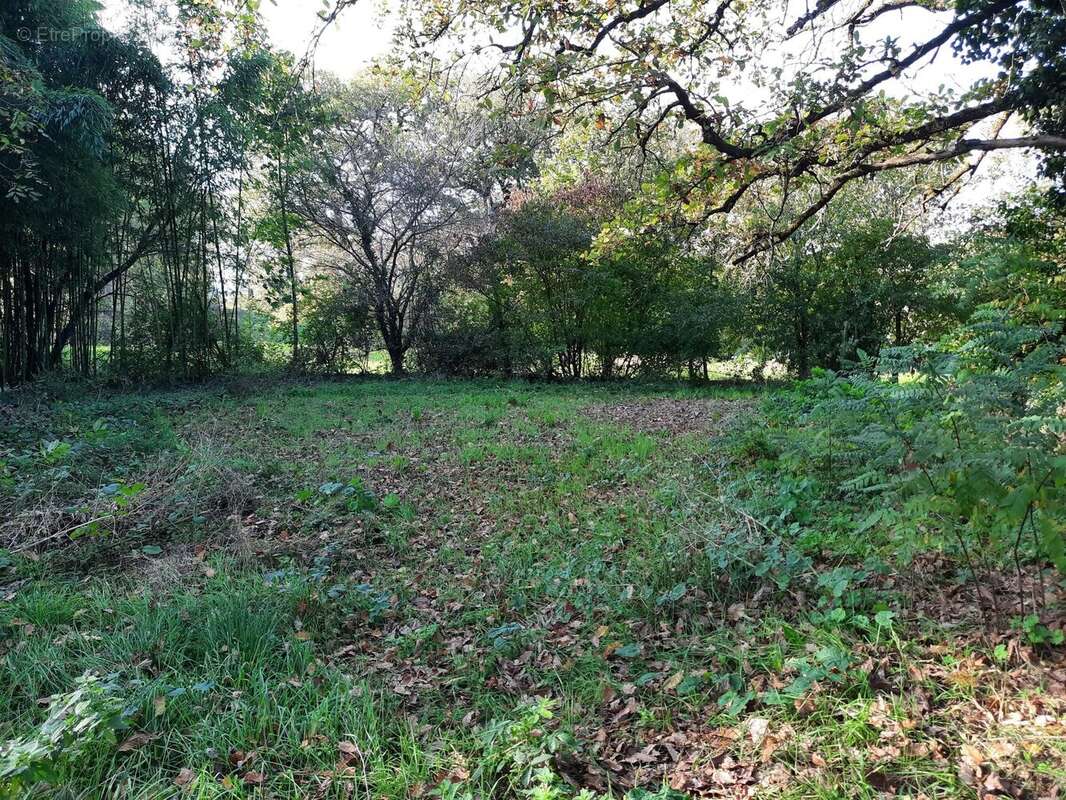 Appartement à EYMET