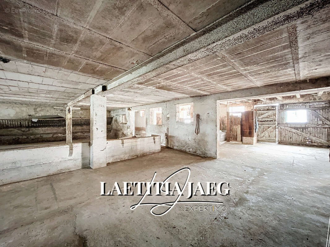 Terrain à BOOFZHEIM