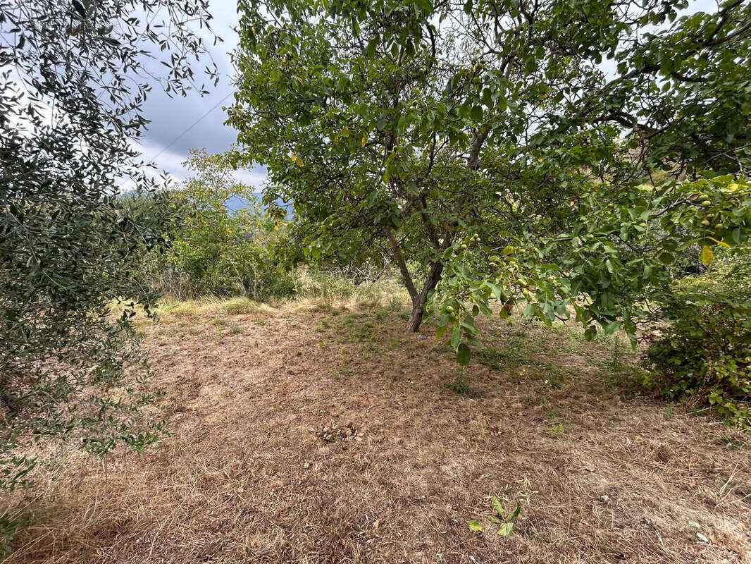 Terrain à BERRE-LES-ALPES