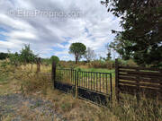Terrain à ILLE-SUR-TET