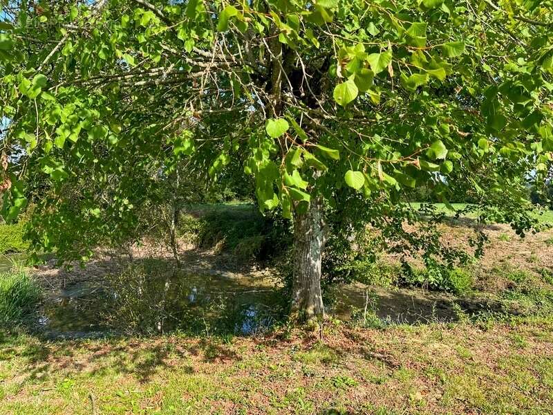 Maison à MARGOUET-MEYMES