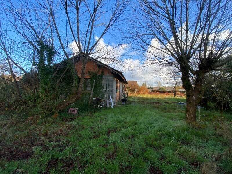 Terrain à SAINT-MORILLON