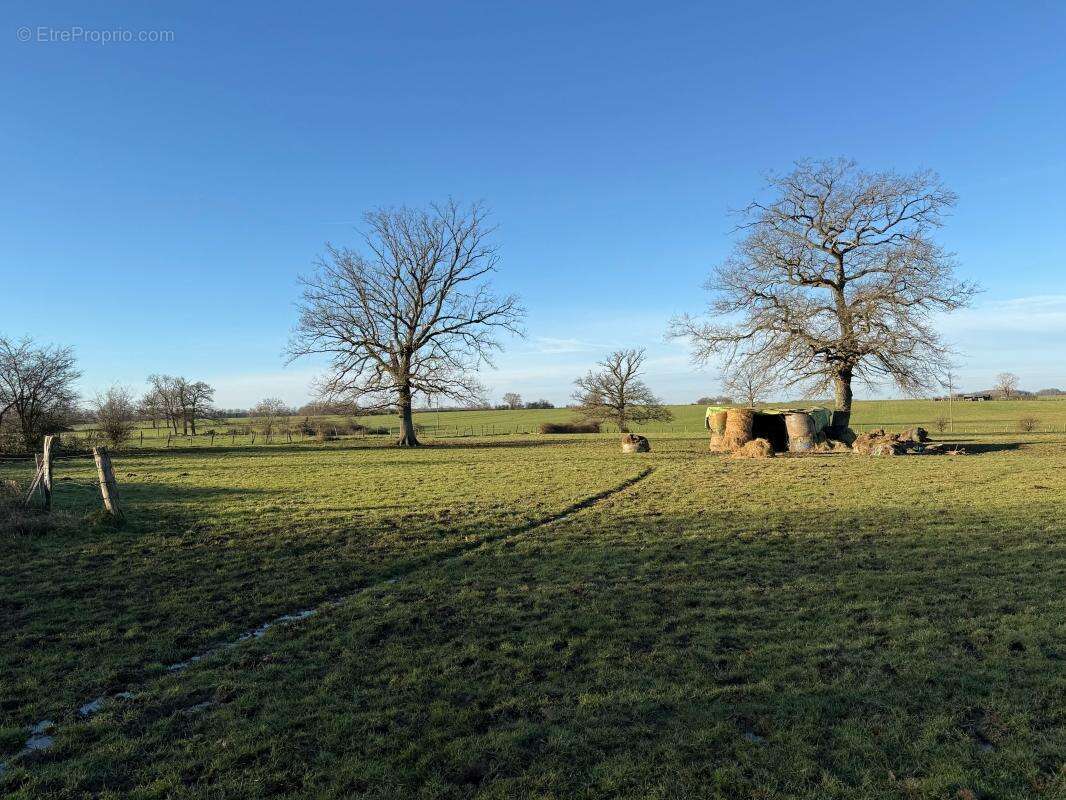 Terrain à VIC-DE-CHASSENAY