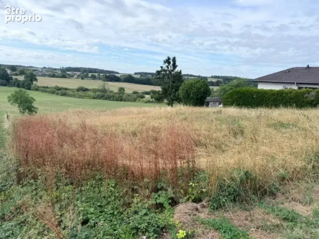 Coup de cœur à harol (88270) – terrain d’exception 1 049 m² - photo 6
