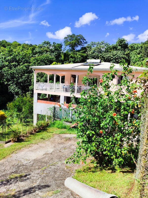 Maison à SCHOELCHER