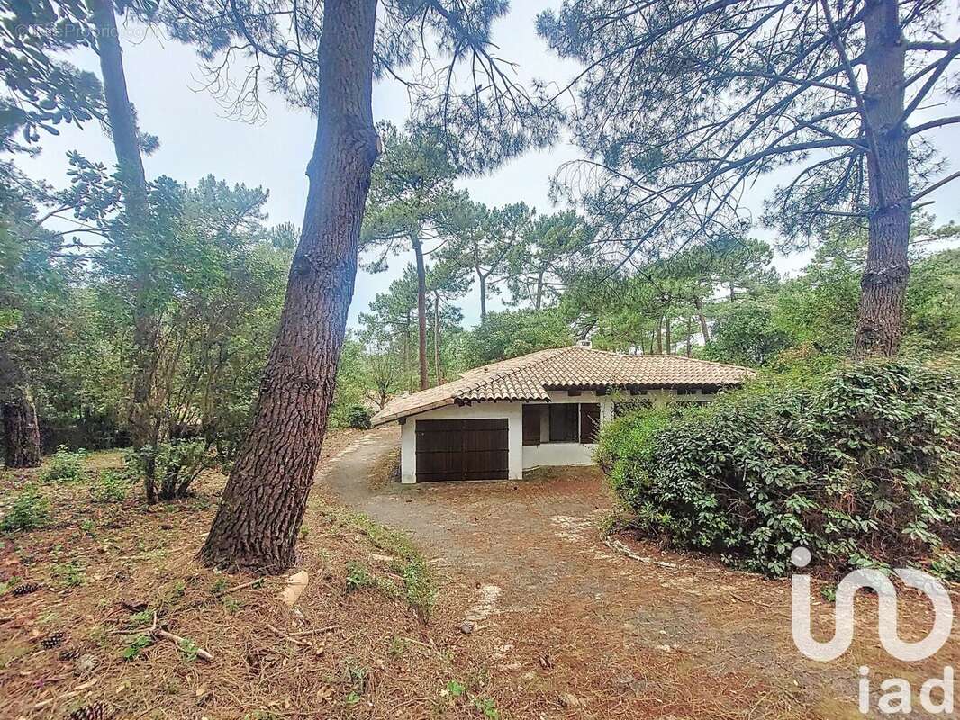 Photo 3 - Terrain à LE BOUSCAT