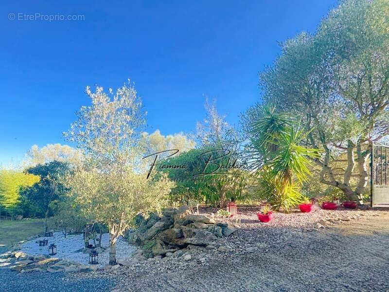 À vendre Propriété, Terrain 1 115m², Casta, Santo Pierto di Tenda (20) - photo 20