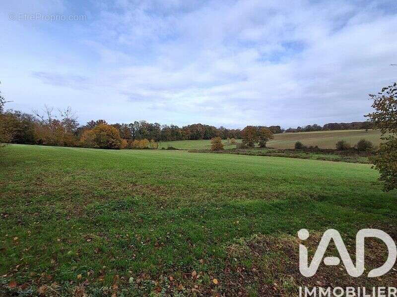 Photo 2 - Maison à SAINT-SYMPHORIEN