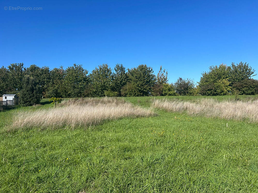 Terrain à BREUILLET