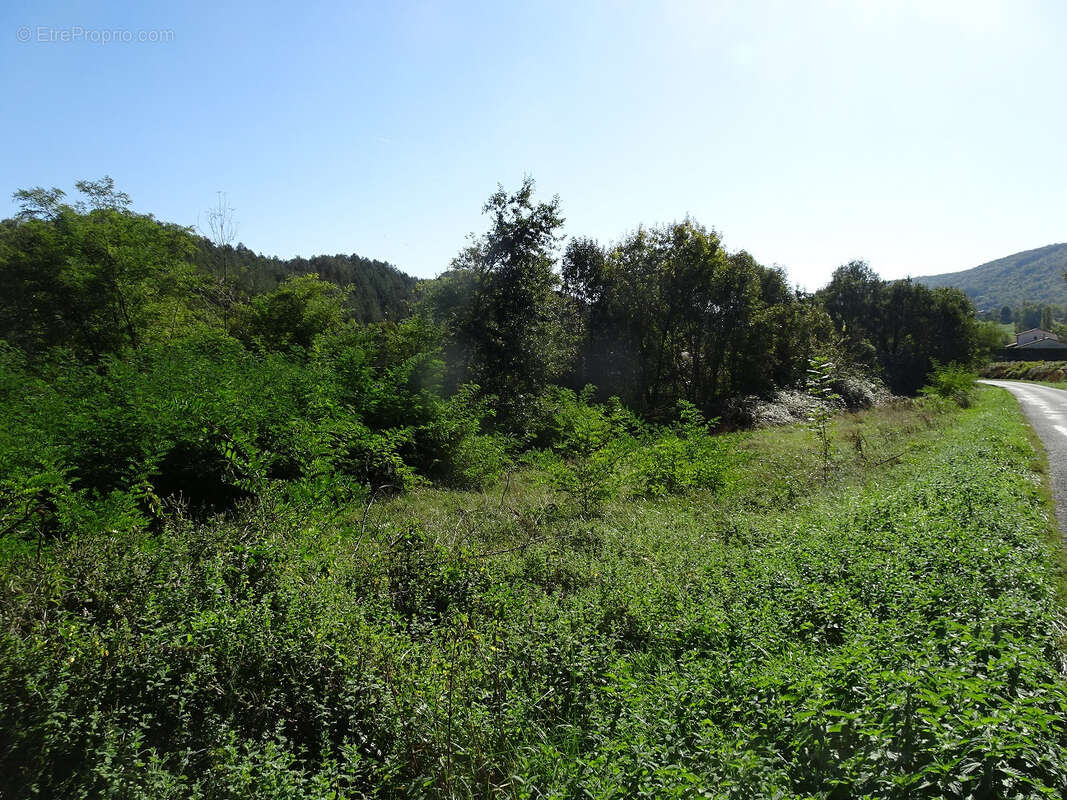 Terrain à LE MAS-D'AZIL