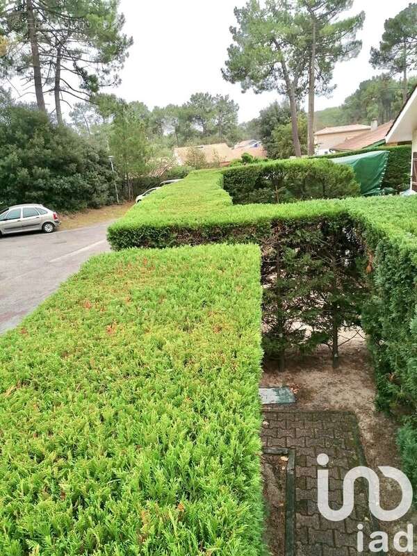 Photo 6 - Maison à LACANAU