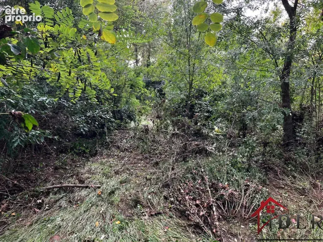 Terrain 800m2 - photo 5