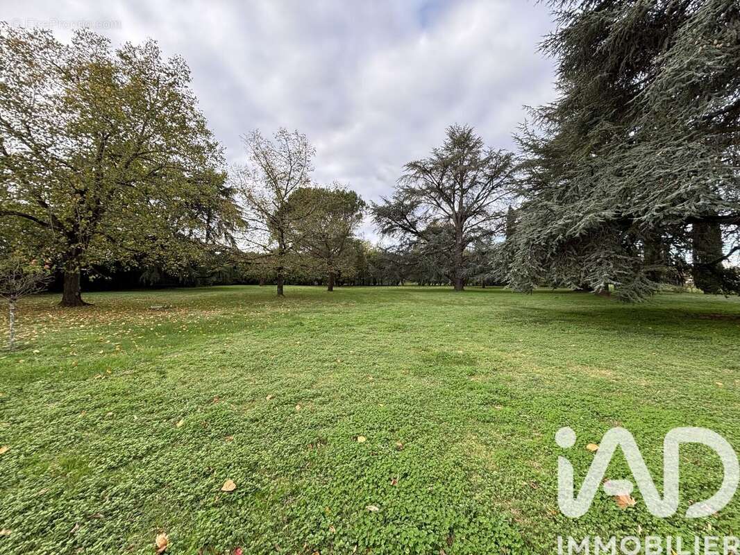 Photo 9 - Maison à LISLE-SUR-TARN