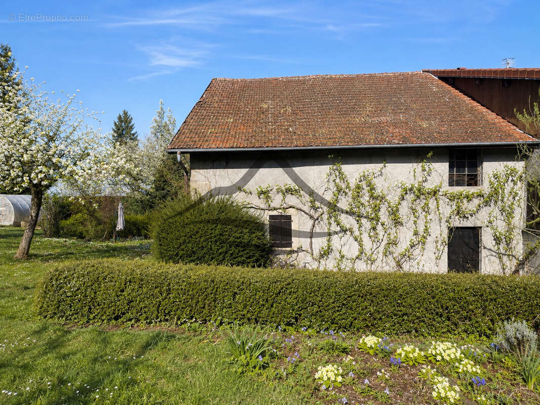 Maison à NEYDENS