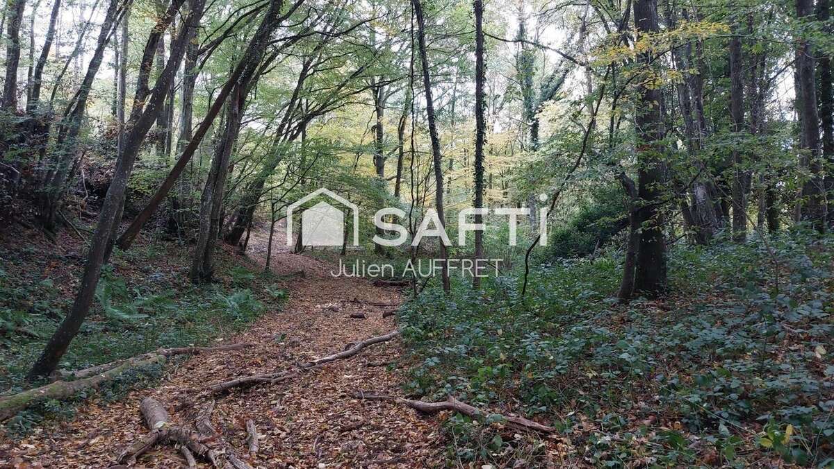 Photo 5 - Terrain à ARQUIAN