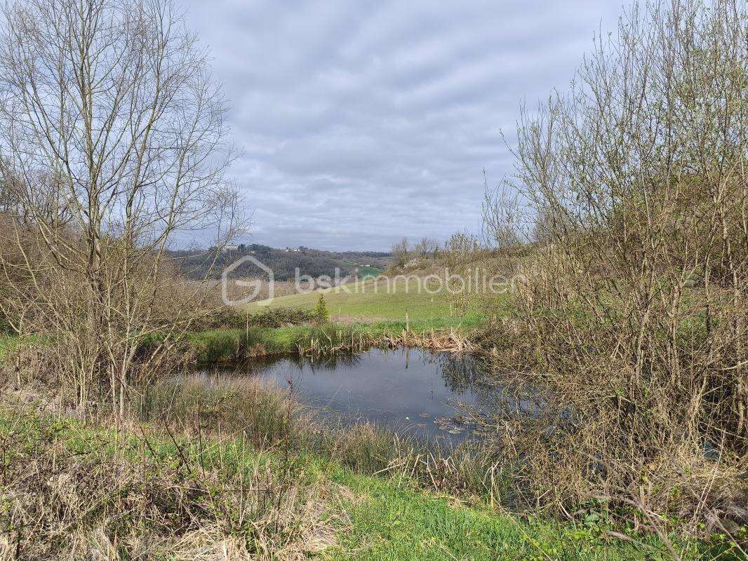 Maison de campagne en pierre, terrain, piscine - photo 16
