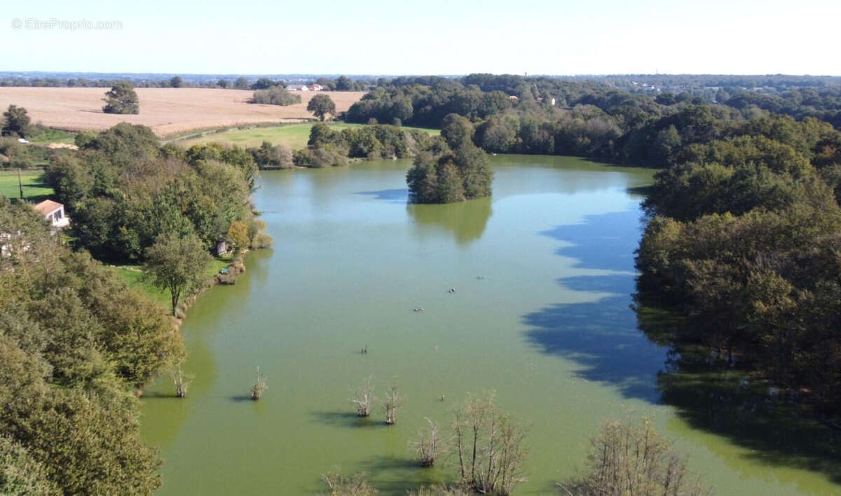 ETANG - Maison à LE VIGEANT