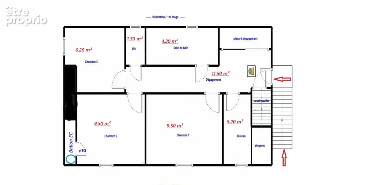 Photo 5