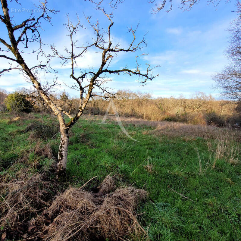 Terrain à LE CHAMP-SAINT-PERE