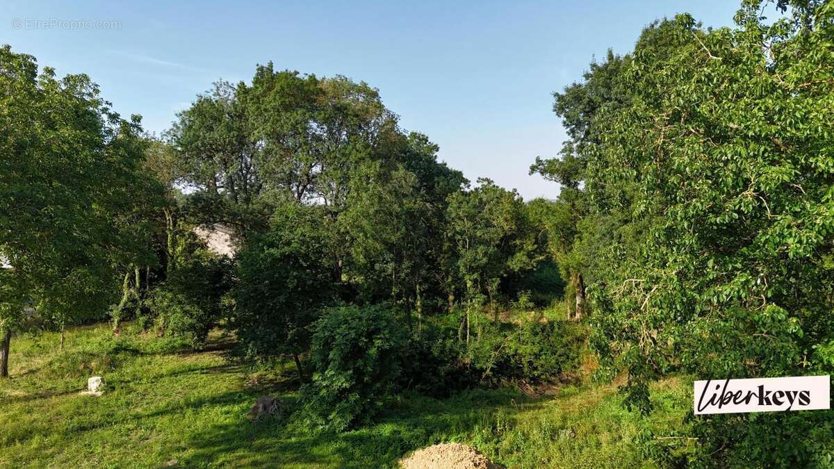 Bord de saône - demeure en pierre - 155 m² habitable - caves - dépendances - 2 puits - 4702 m² zone verte - photo 4