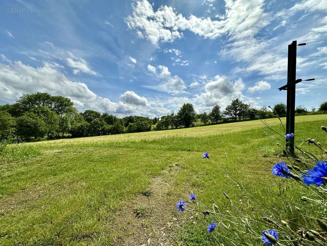 Maison à SAINT-GERVAIS-D'AUVERGNE