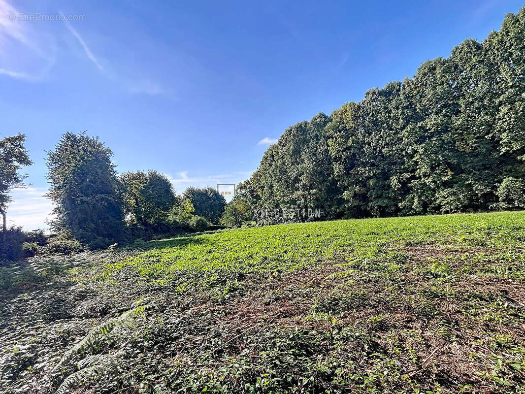 Terrain à AMBAZAC