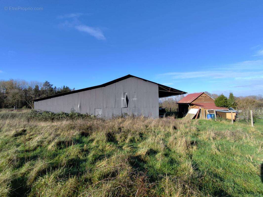 Commerce à SAINT-DENIS-D'AUTHOU