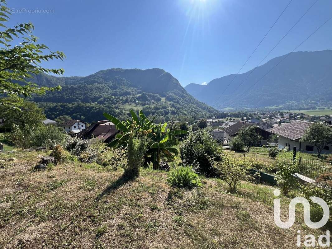 Photo 4 - Maison à SAINT-FERREOL