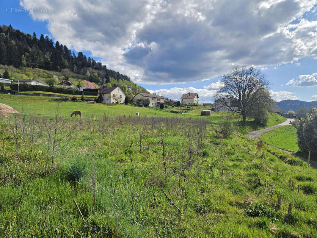 20260417_163110 - Terrain à DOMMARTIN-LES-REMIREMONT