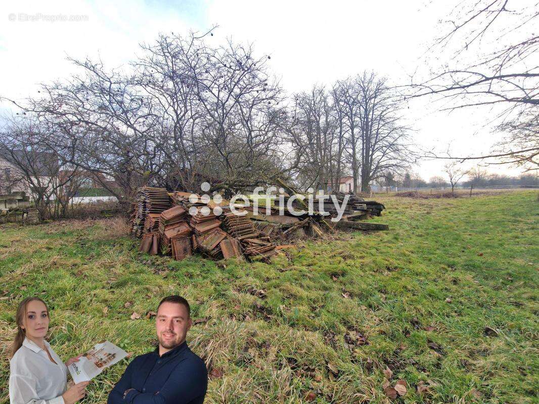 Terrain à HERRLISHEIM