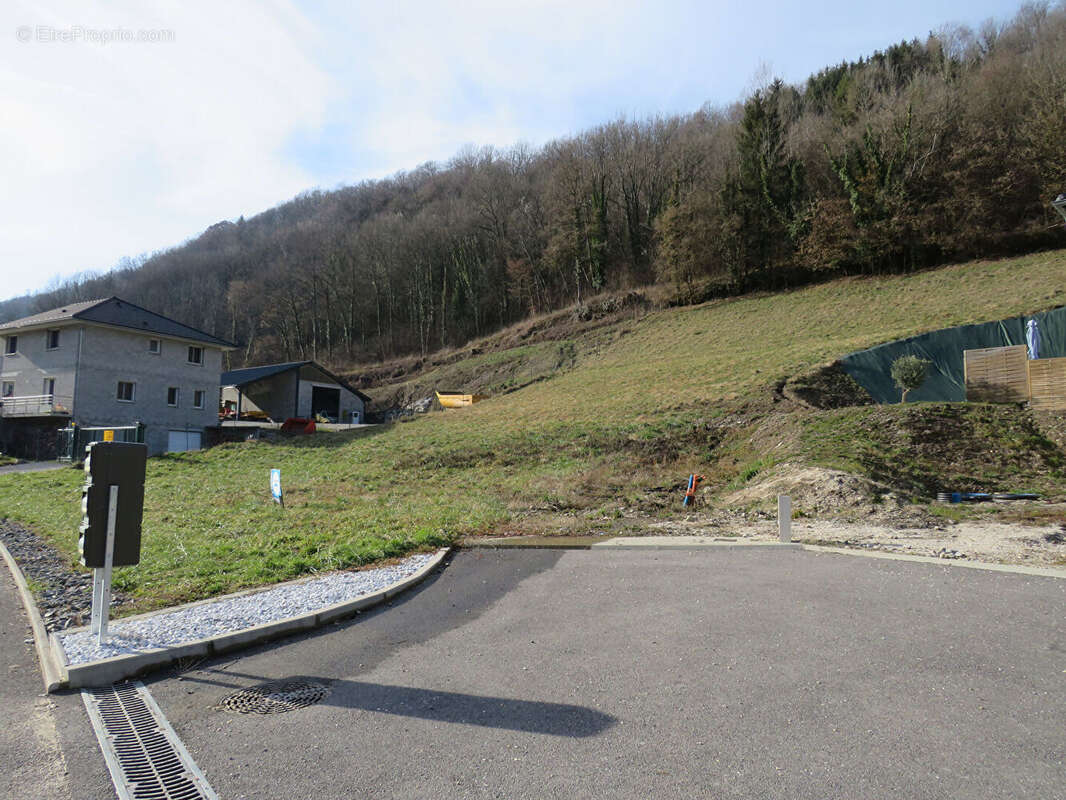 Terrain à LA TRINITE