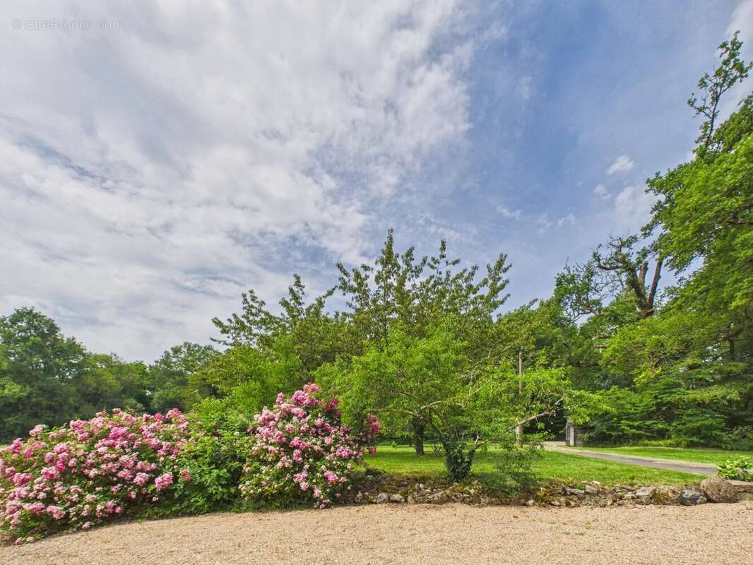 Longère avec Maison d'amis, granges et piscine - photo 17