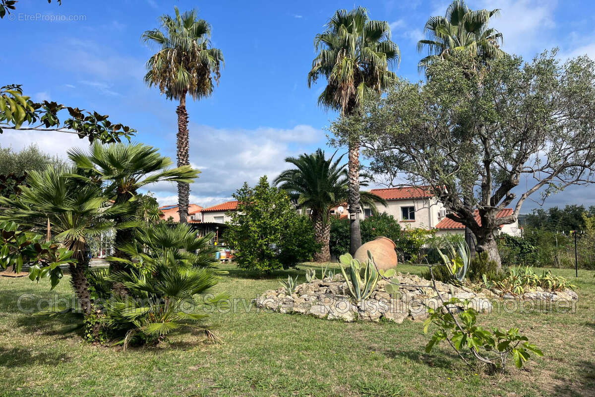 Terrain 632 m² à Ceret  - photo 6