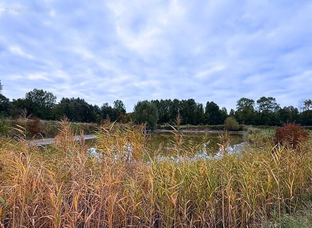 Terrain à WANDIGNIES-HAMAGE