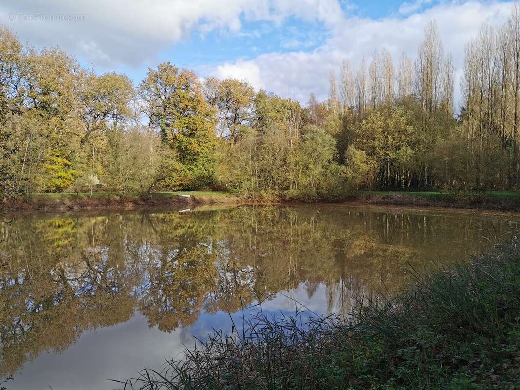 Terrain à SAINT-BRIEUC