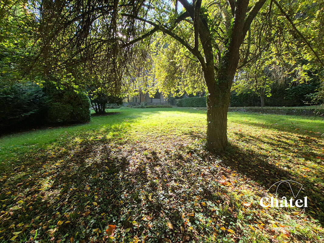 Maison à CIRES-LES-MELLO