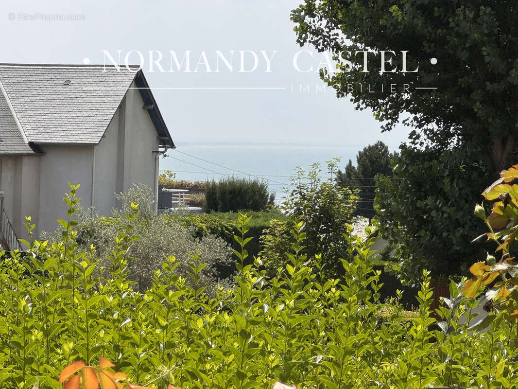 Studio vue mer avec jardinet et parking - trouville sur mer - photo 12