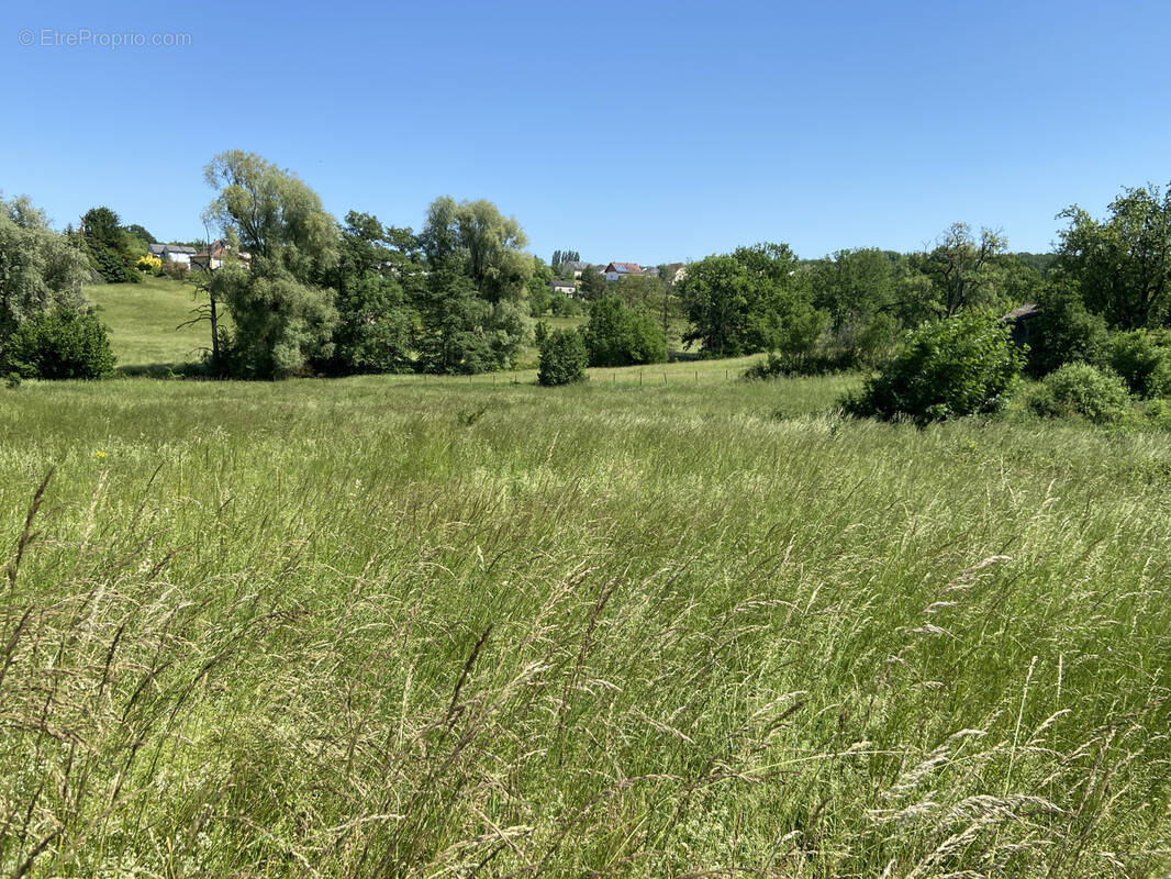Terrain à REMELFING